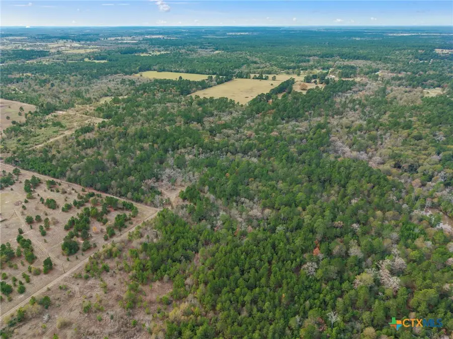 000 Dickey Loop, Bedias, TX 77831 - Image #3