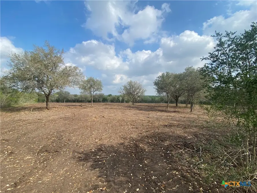 1736 Fm 1351, Goliad, TX 77963 - Image #3