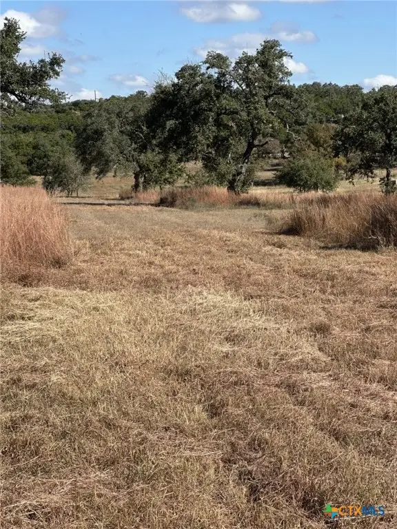 525 Outlook Drive, Wimberley, TX 78676 - Image #2