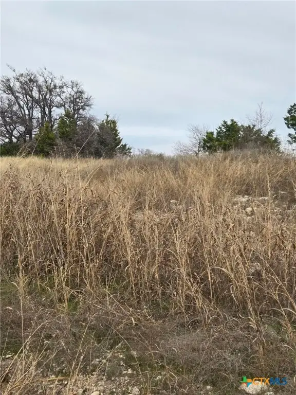 134 Yellowstone Drive, Oglesby, TX 76561 - Image #2