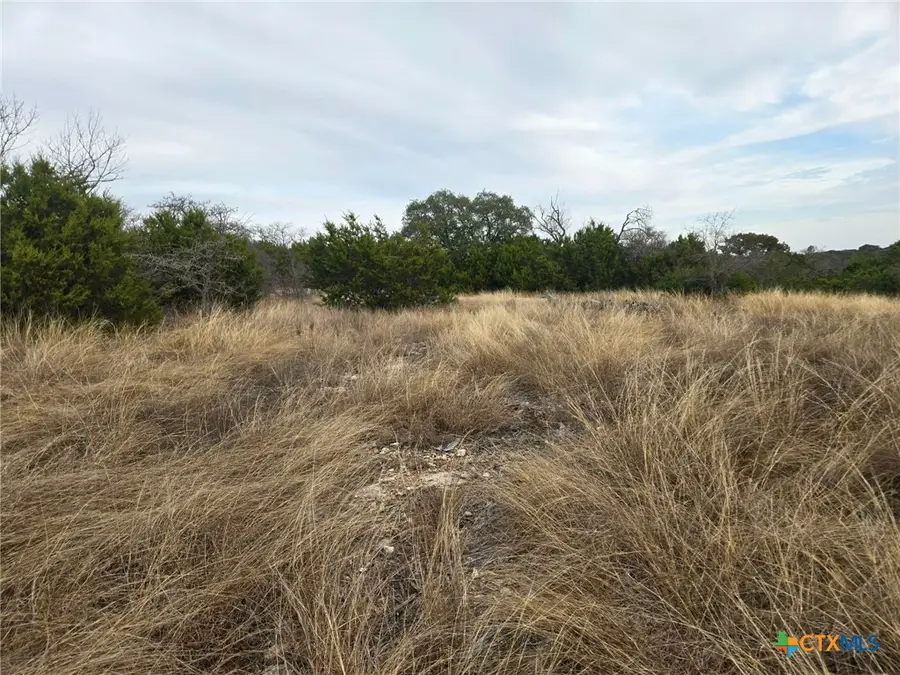 134 Yellowstone Drive, Oglesby, TX 76561 - Image #3