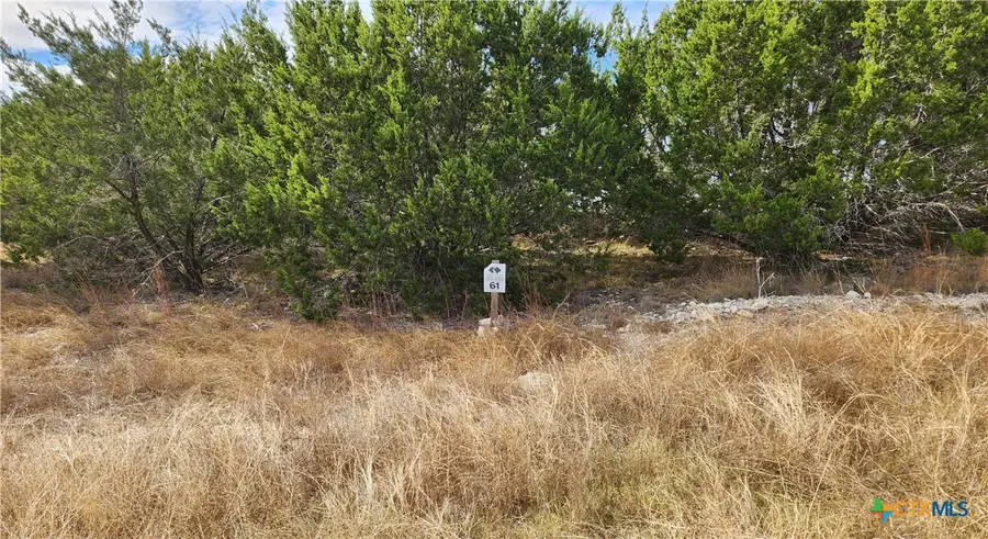 TBD Shin Oak Drive, Lampasas, TX 76550 - Image #3