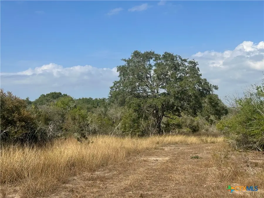 1776 Fm 1351, Goliad, TX 77963 - Image #2