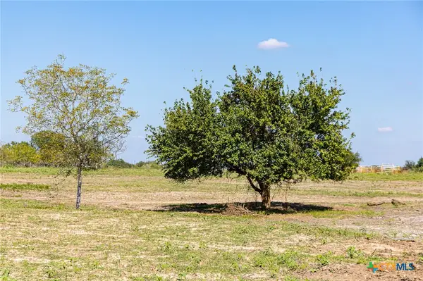 234 Cr 430 #Tract 6, Hallettsville, TX 77964