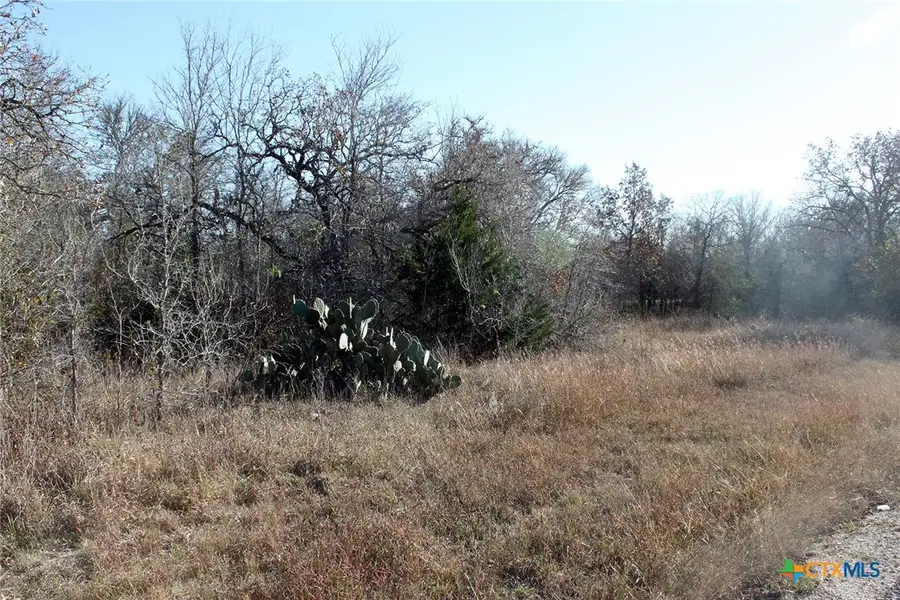 100 Track Road, Dale, TX 78616 - #3