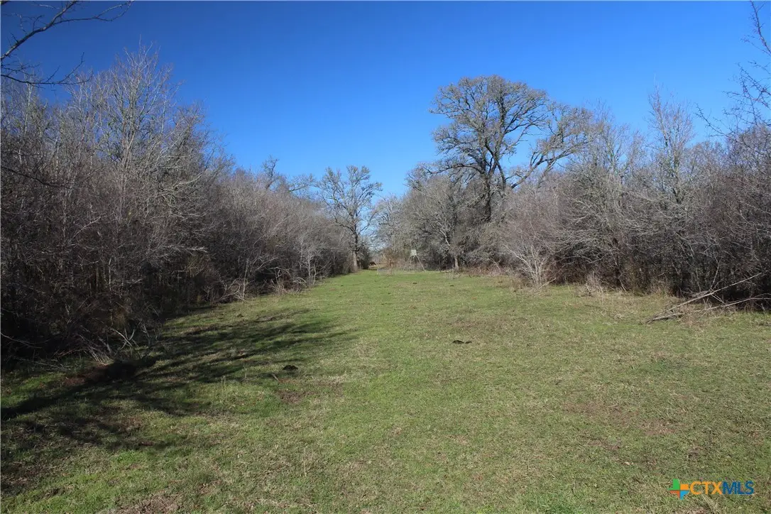 1223 County Road 429, Dime Box, TX 77853 - Image #1