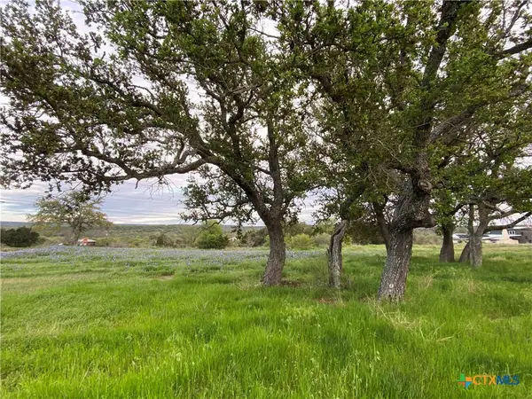 303 S Oak Lane, Burnet, TX 78611