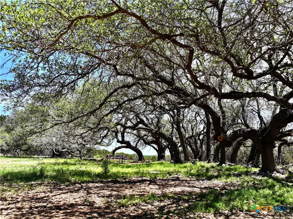 285 Donnie Drive, Lampasas, TX 76550 - #1