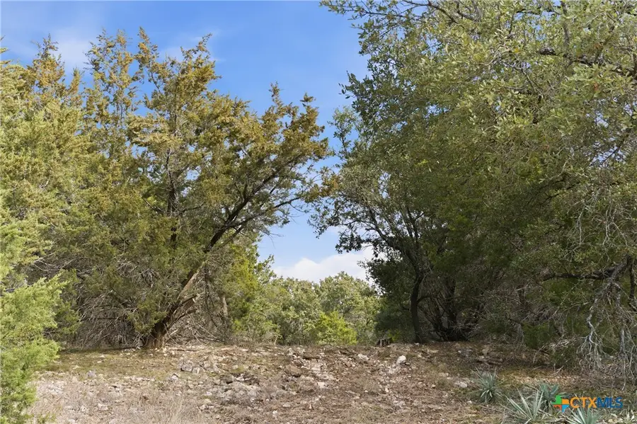 7520 Fm-2843, Salado, TX 76571 - #3