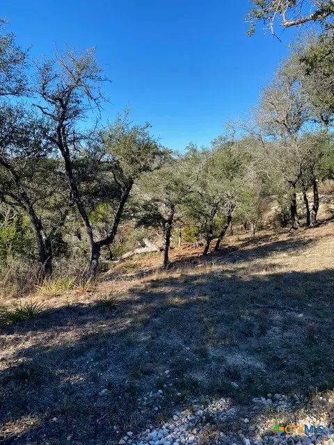 1178 Primrose Path, Canyon Lake, TX 78133 - Image #1