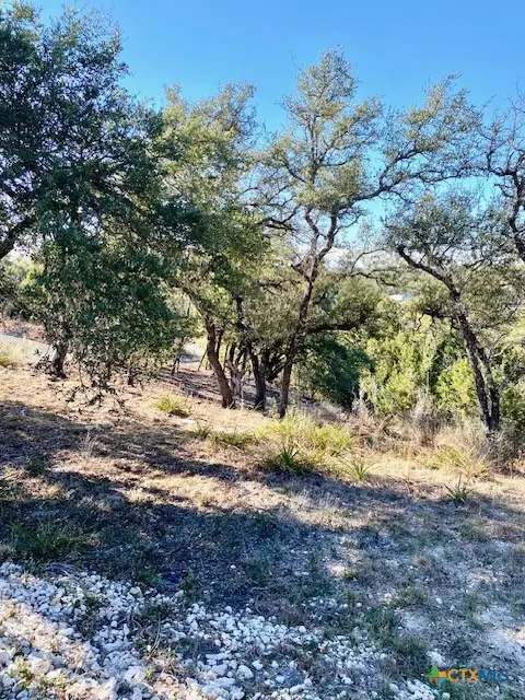 1178 Primrose Path, Canyon Lake, TX 78133 - Image #2