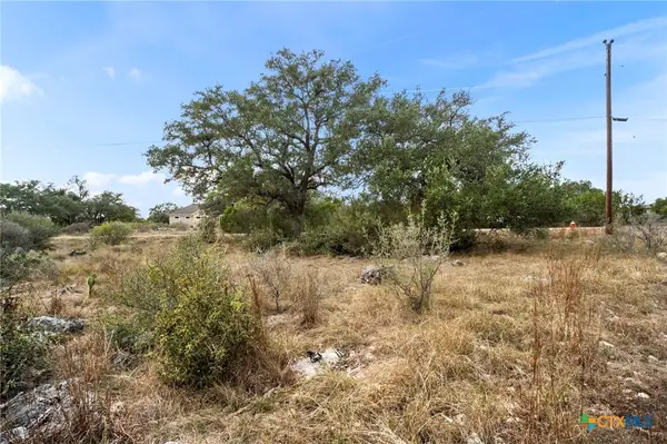 137 Red Tail Cove, Spring Branch, TX 78070