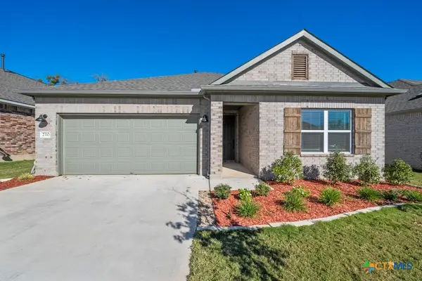 210 Grand Teton Drive, Kyle, TX 78640