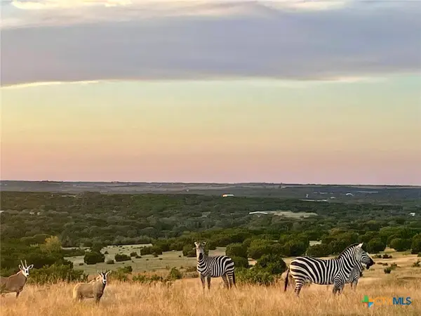 Tract 2 County Road 208, Lampasas, TX 76550