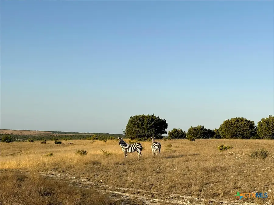 Tract 2 County Road 208, Lampasas, TX 76550 - #2