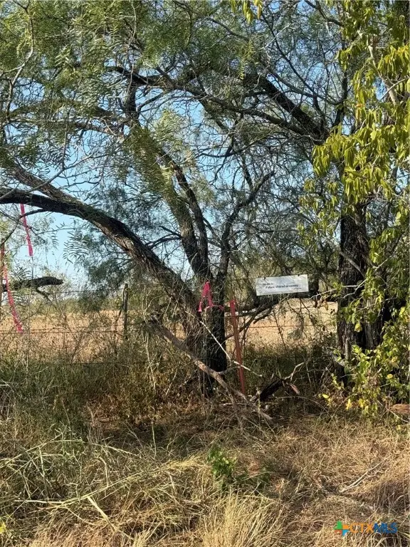 5913 Fm 1681-tract 1, Stockdale, TX 78160