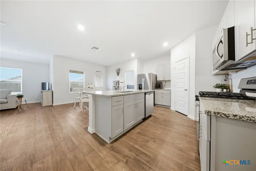 323 Elephants Ear Drive, New Braunfels, TX 78130 - Image #3