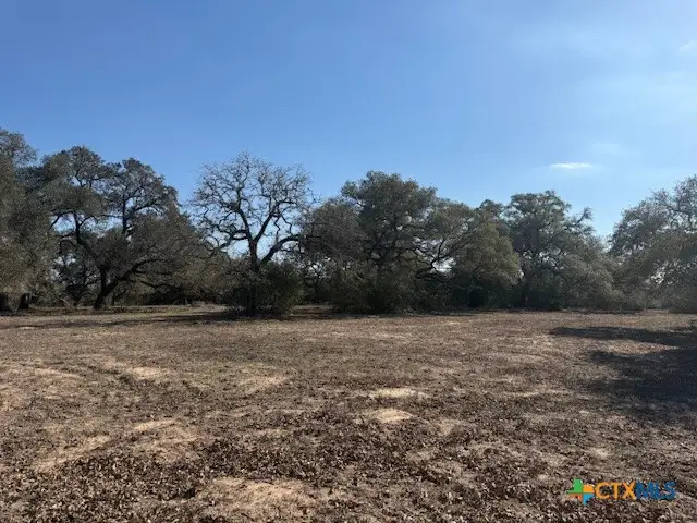 0 Fm-1447, Yoakum, TX 77995 - #2
