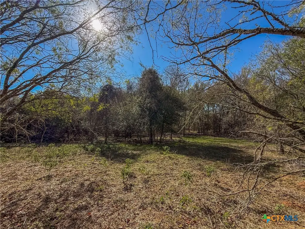 0 Fm 539, La Vernia, TX 78121 - Image #1