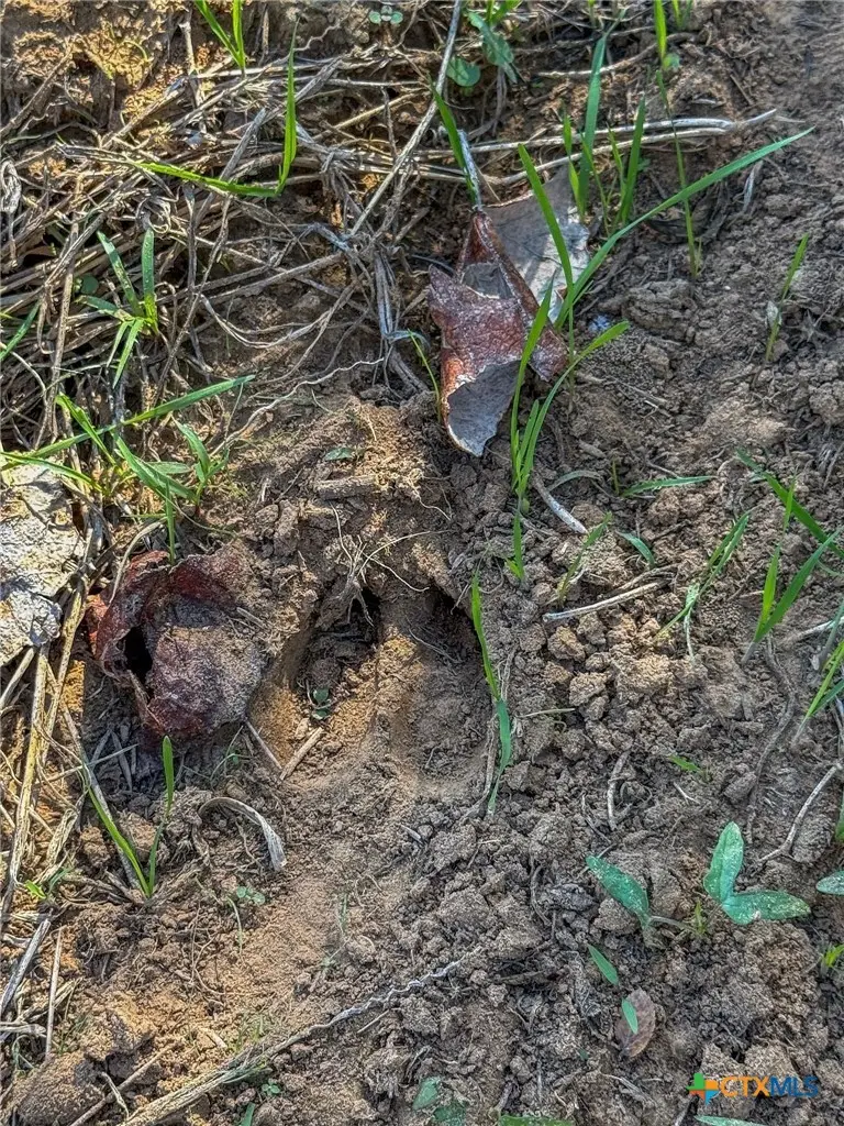 0 Fm 539, La Vernia, TX 78121 - Image #3