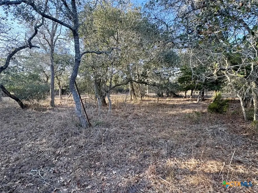 000 Private Road 1067, Hallettsville, TX 77964 - #3