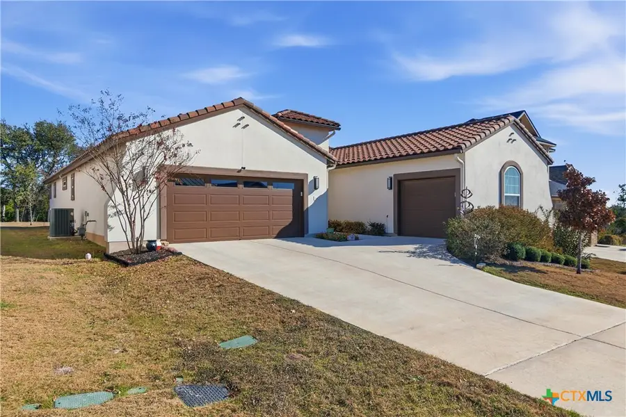 336 Calming Agave Way, San Marcos, TX 78666 - Image #2