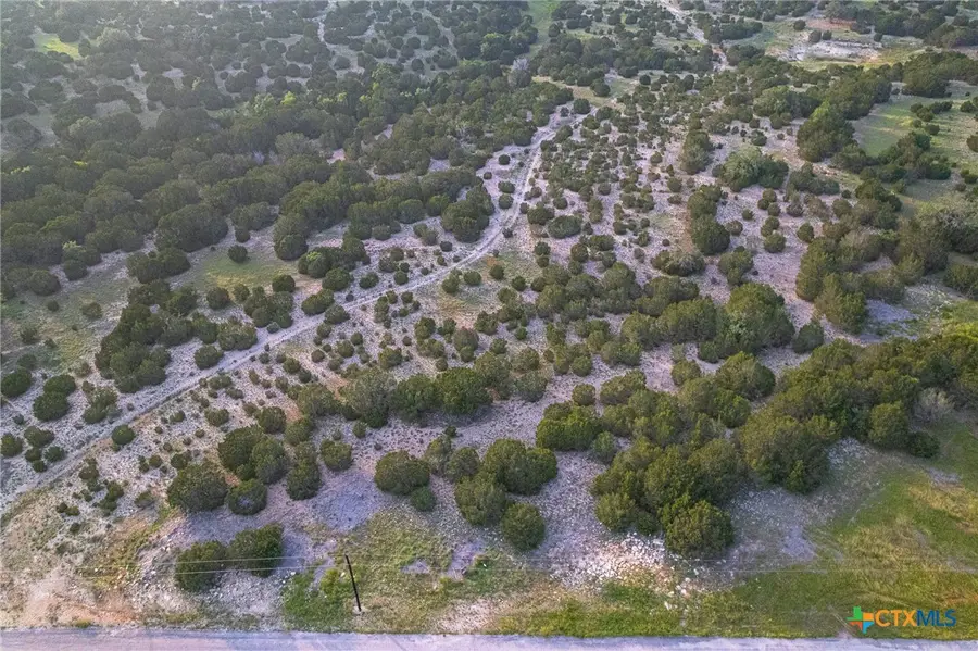 TBD (lot 141) High Point Drive, Kempner, TX 76539 - Image #2