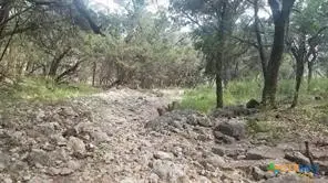 603 Copper Trace, New Braunfels, TX 78132 - Image #3