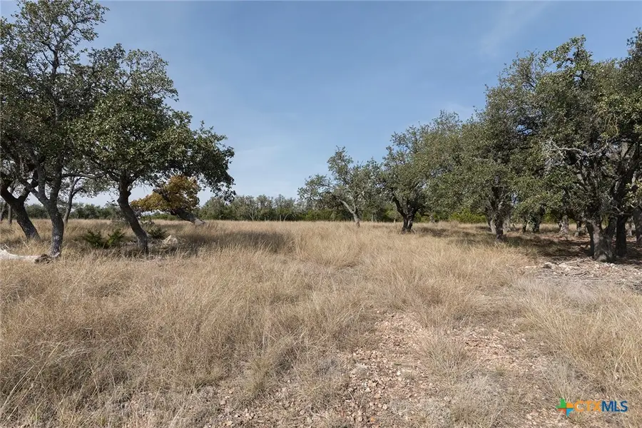 857 Brooklyn Nw Drive, Mountain Home, TX 78058 - #3