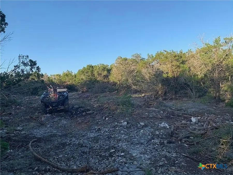 20 Winchester, Leakey, TX 78873 - #2