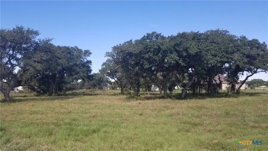 000 Enchanted Oaks, Inez, TX 77968 - #2