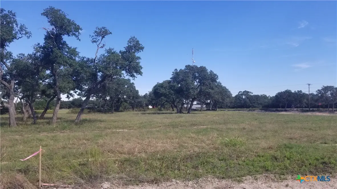 000 Enchanted Oaks, Inez, TX 77968 - #1
