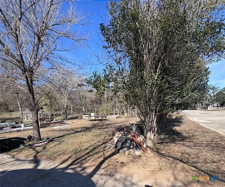 795 E Mather Street, New Braunfels, TX 78130 - #2