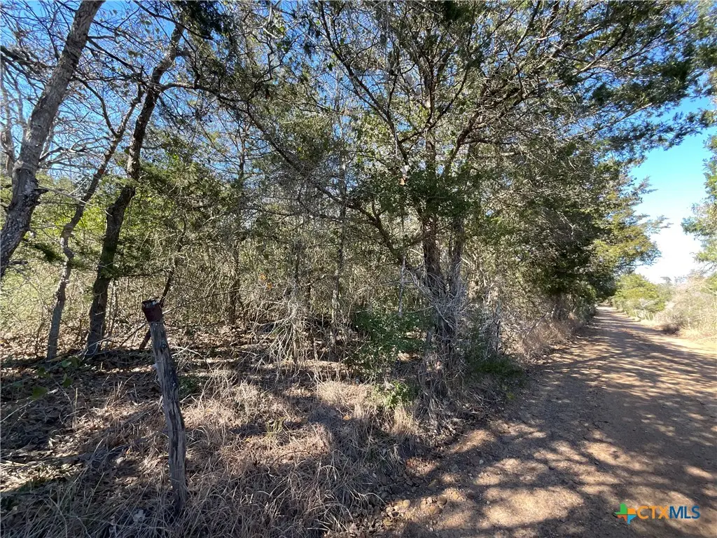 50 Acres County Road 212, Hallettsville, TX 77964 - #1