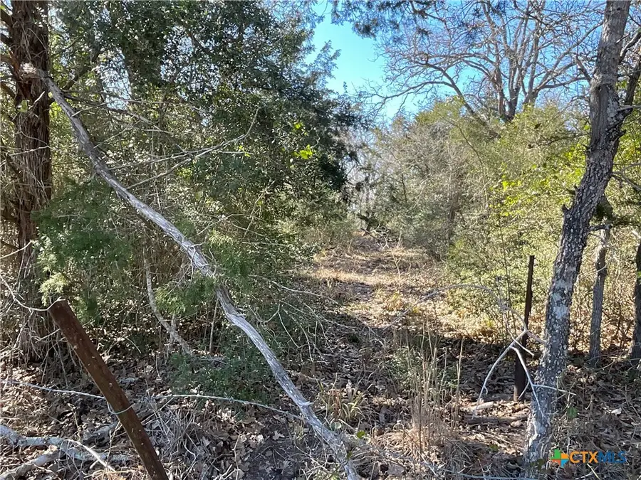 50 Acres County Road 212, Hallettsville, TX 77964 - #2