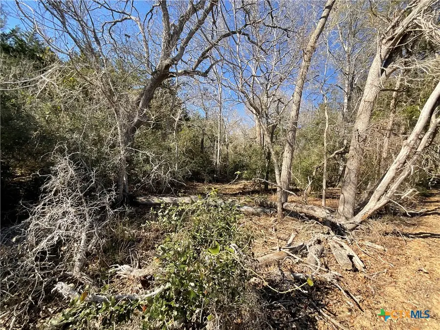 50 Acres County Road 212, Hallettsville, TX 77964 - #3