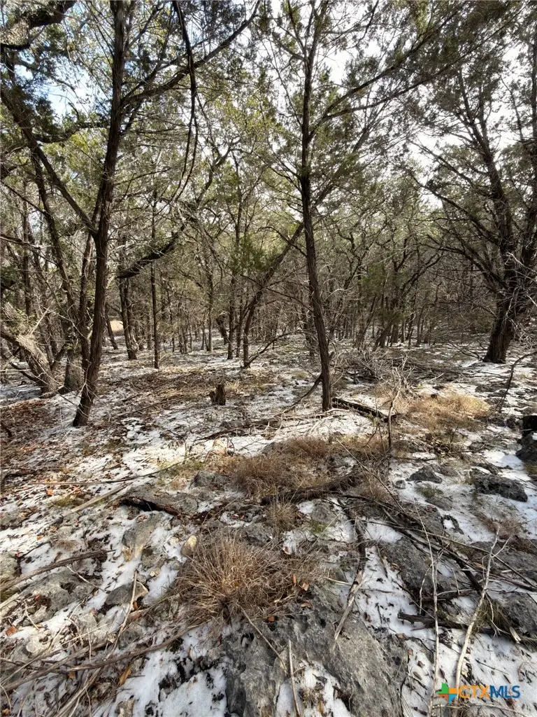 311 Serenity Pass, Spring Branch, TX 78070 - #2