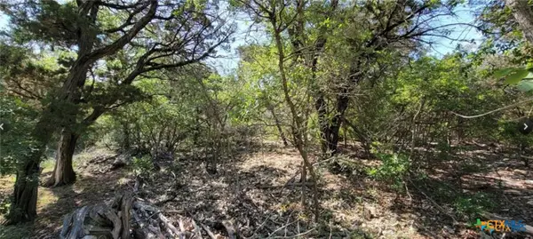 15921 Salado Drive, Temple, TX 76502