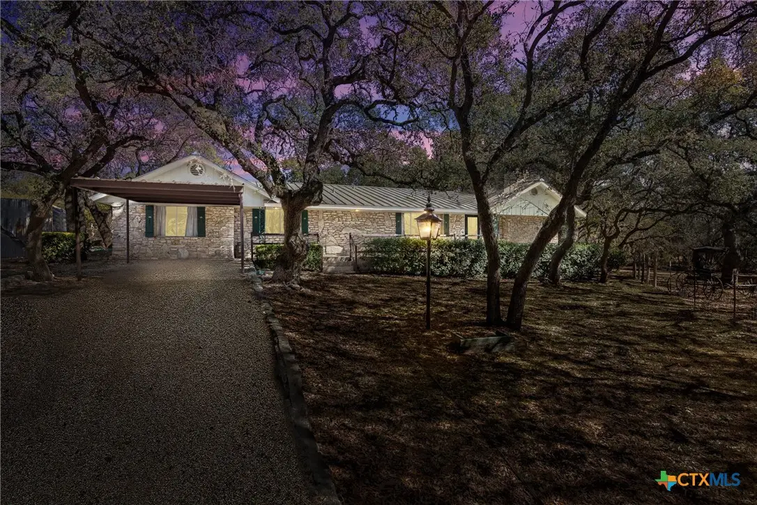 118 Buffalo Springs Road, New Braunfels, TX 78132 - #1