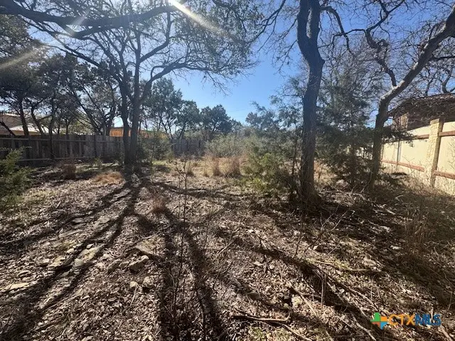 323 Thunderhead Street, Spring Branch, TX 78070 - #3