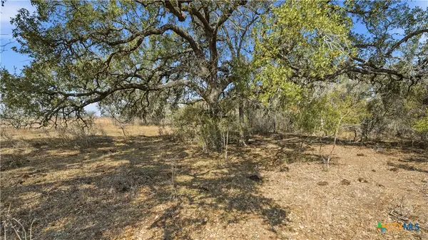 TBD Hohn Road, Nordheim, TX 78141
