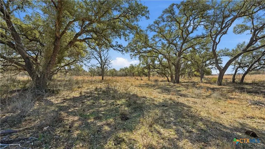 TBD Hohn Road, Nordheim, TX 78141 - #2