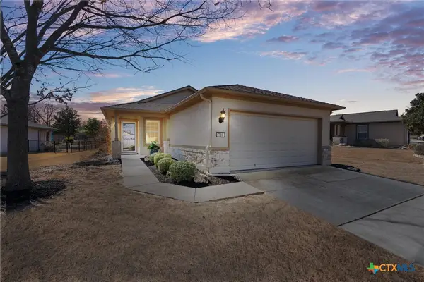 718 Salt Creek Lane, Georgetown, TX 78633