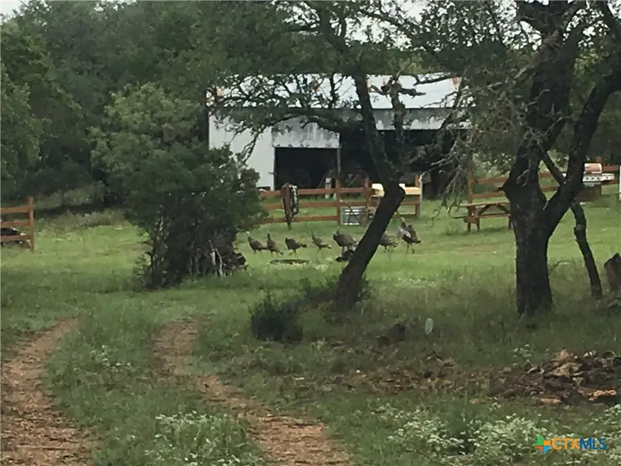 1595 Sky Ridge Road, Lampasas, TX 76550 - #3