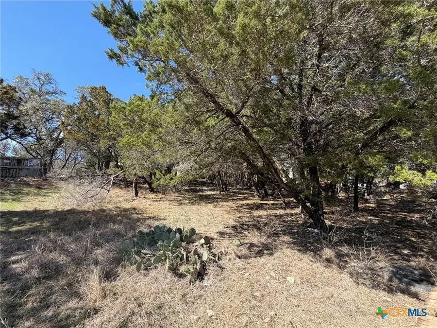 621 Royal Oak Drive, Canyon Lake, TX 78133 - #3