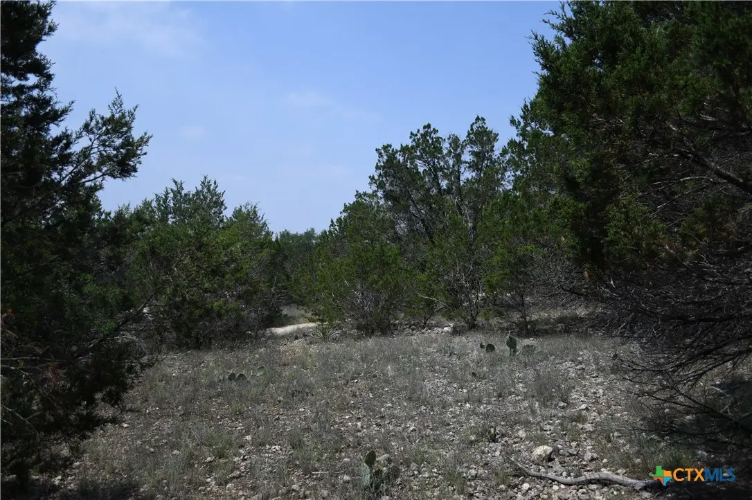 135 Agarita Drive, Spring Branch, TX 78070 - #1