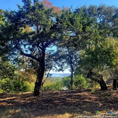 152 Mountainview Drive, Canyon Lake, TX 78133 - #3