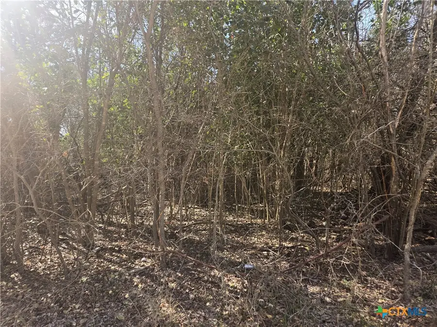 TBD Estate Trail, Belton, TX 76513 - #3