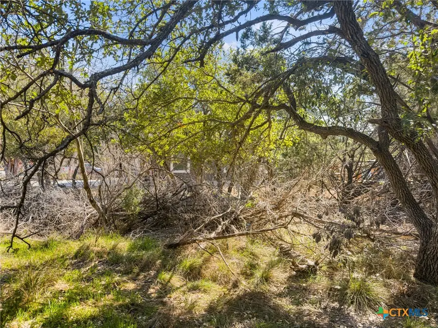 1738 Cave Drive, Spring Branch, TX 78070 - #2
