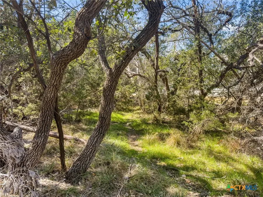 1738 Cave Drive, Spring Branch, TX 78070 - #3